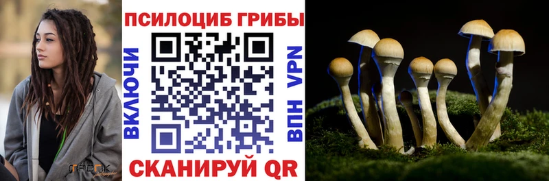 Купить где  Черепаново  Галлюциногенные грибы MAGIC MUSHROOMS 